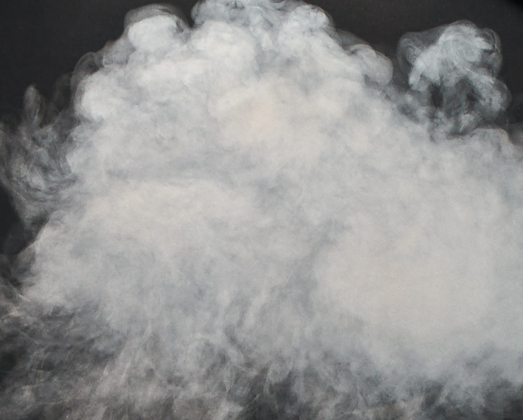 Detail view of Carrie Mae Weems' work Smoke See Simpson, 2011