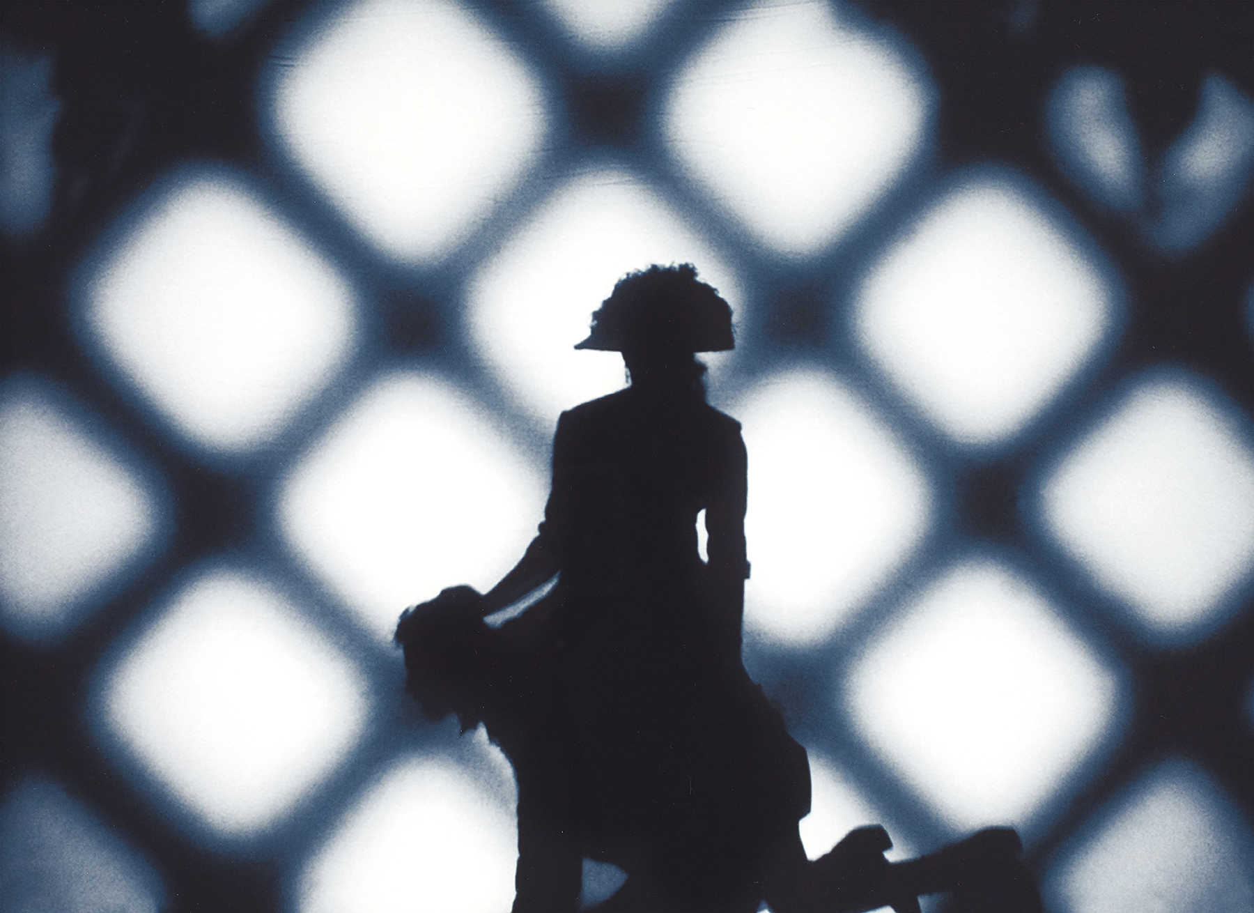 Detail view of Carrie Mae Weems' Untitled Woman As Napoleon Riding Atop A Man From the Louisiana Project, 2003